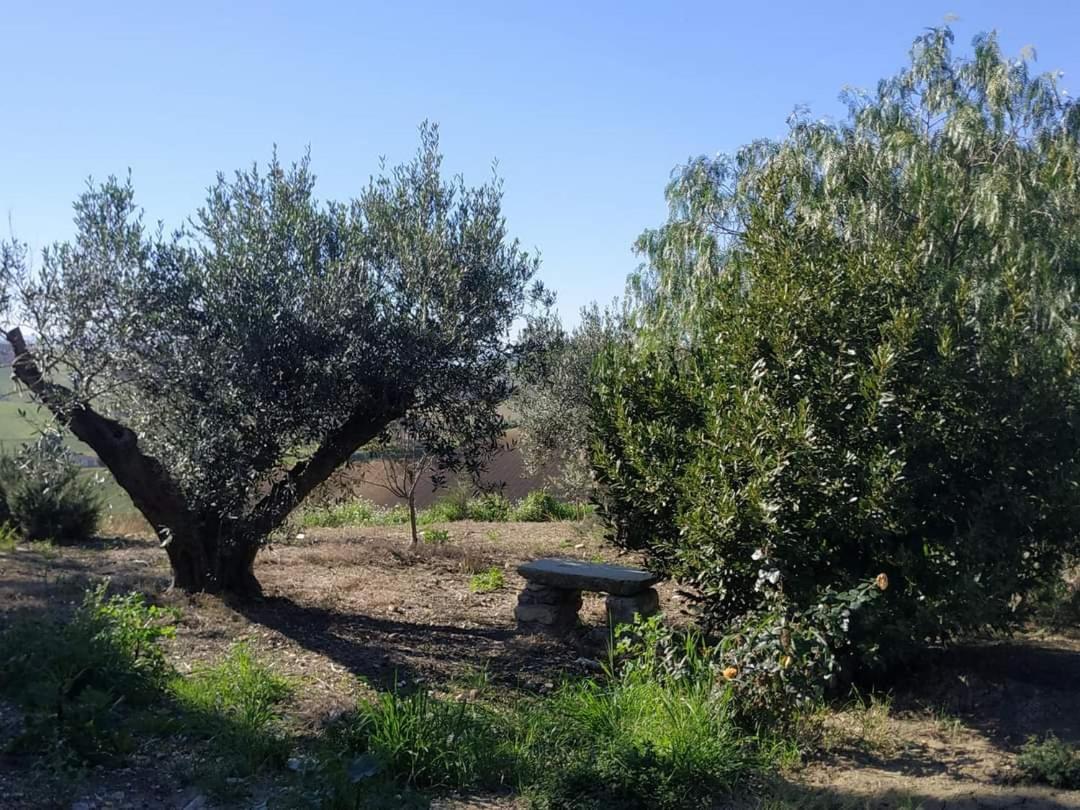 Masseria Baglio Perciata Camporeale エクステリア 写真